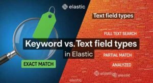 Elasticsearch Keyword vs Text
